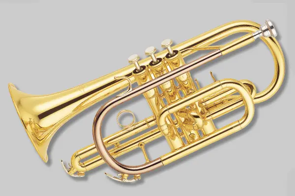 Cornets