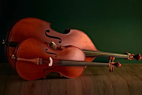 Double Bass