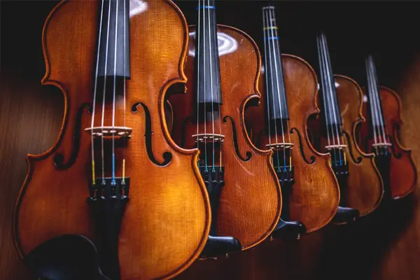 String instrument procurement