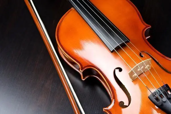 String instrument soundboard