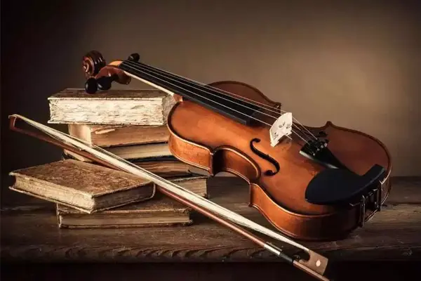 Violin