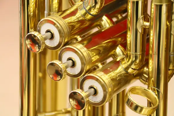 Wind Instruments Rotary Valve & Piston.webp