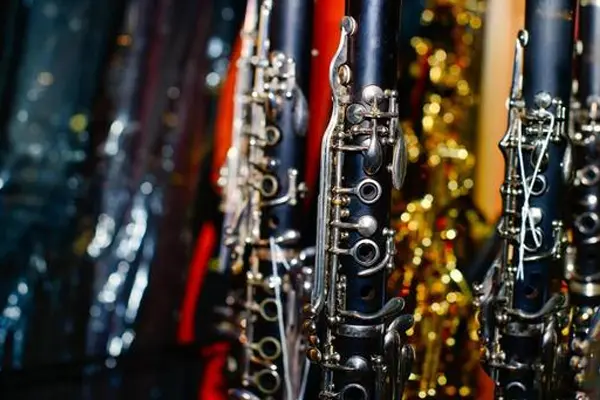 Wind Instruments colour