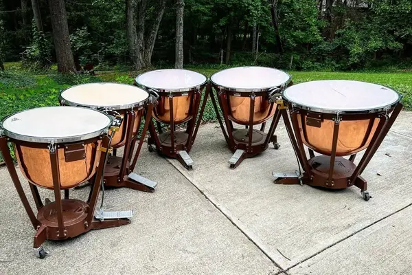 buy percussion instruments